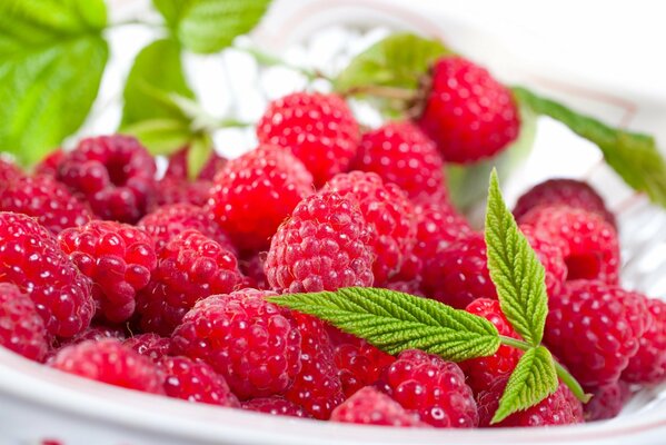 A plate of juicy raspberries with leaves