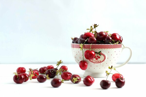 A full cup with ripe cherries