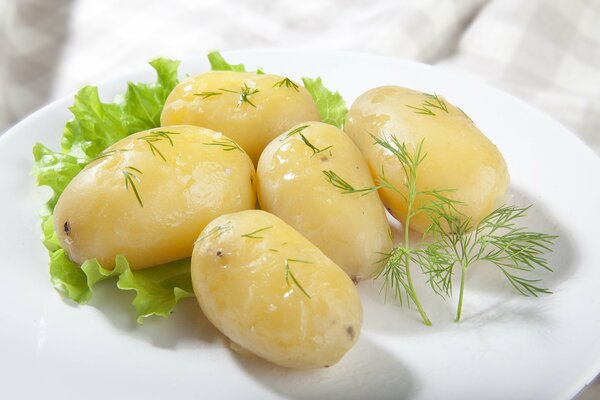 Patate bollite appetitose con burro e aneto