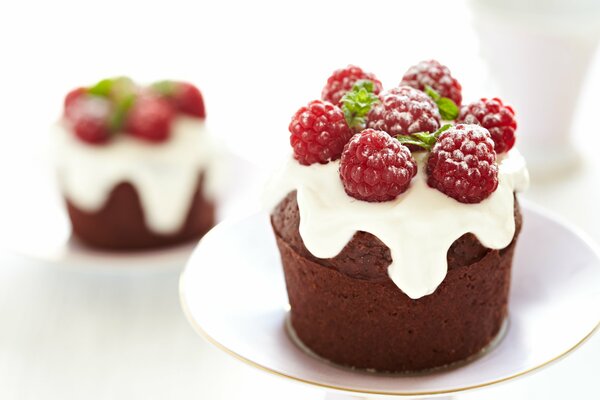 Chocolate cupcake with icing sugar and raspberries