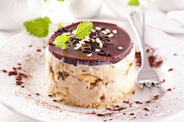 Chocolate cake with mint