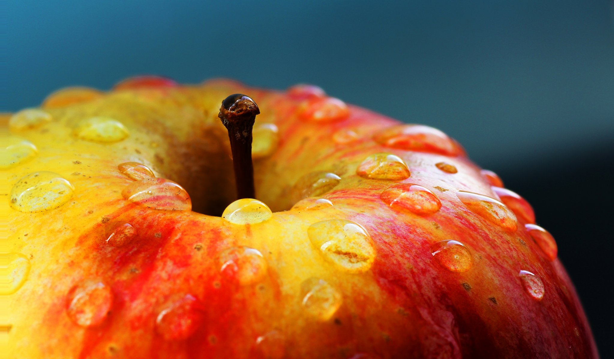 apple drops close up