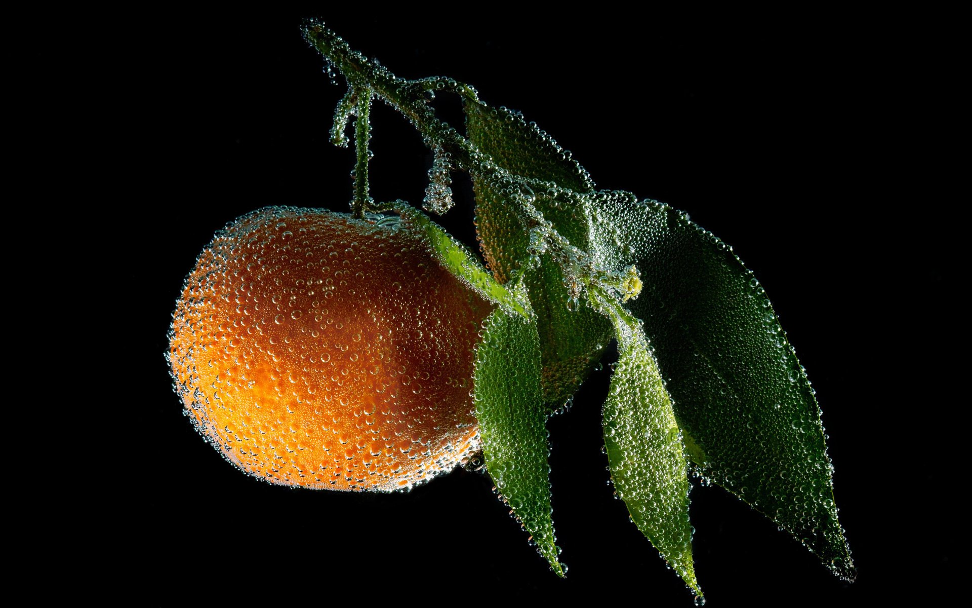 naranja agua naranja burbujas