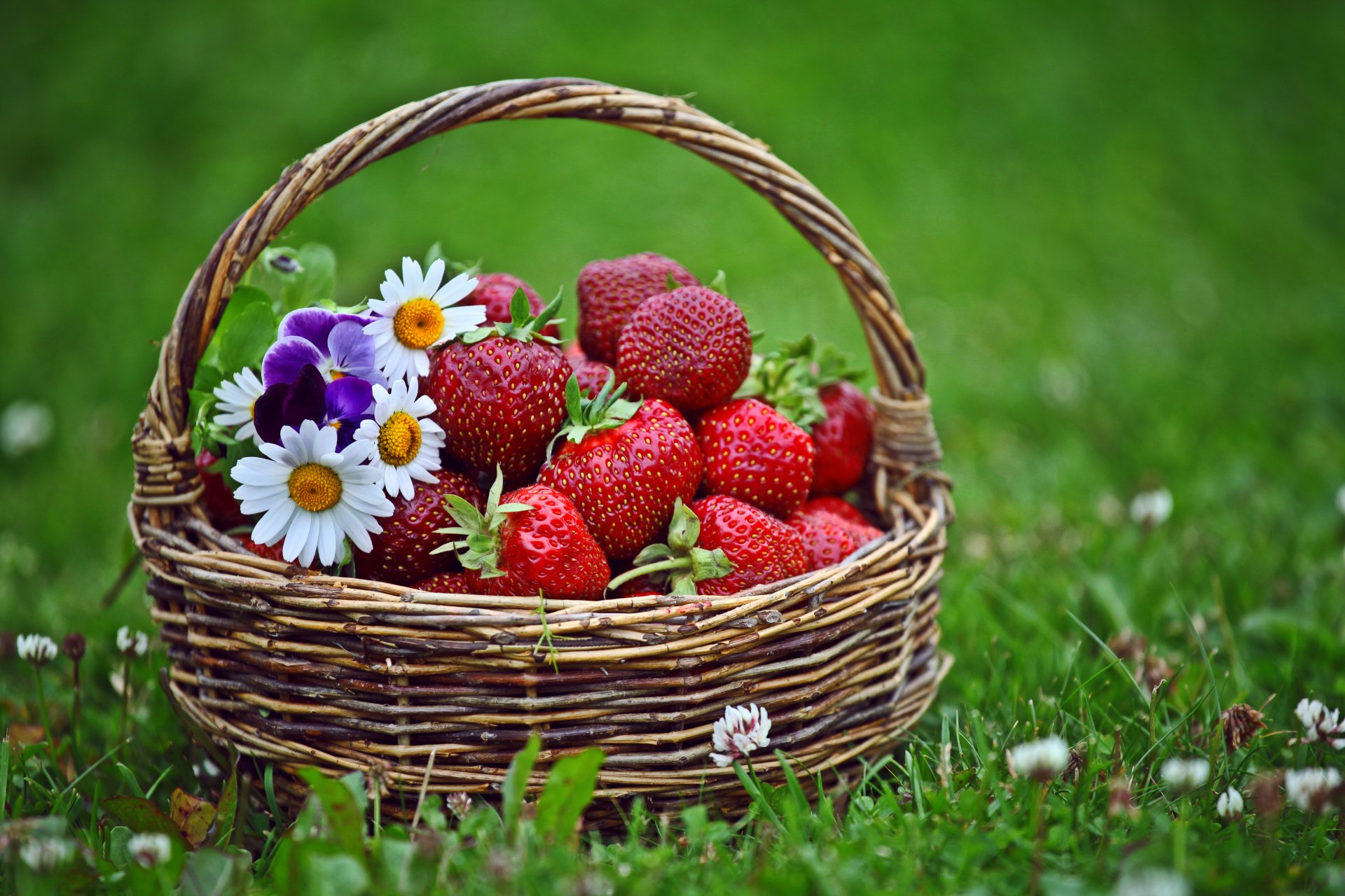 basket strawberry flower gra