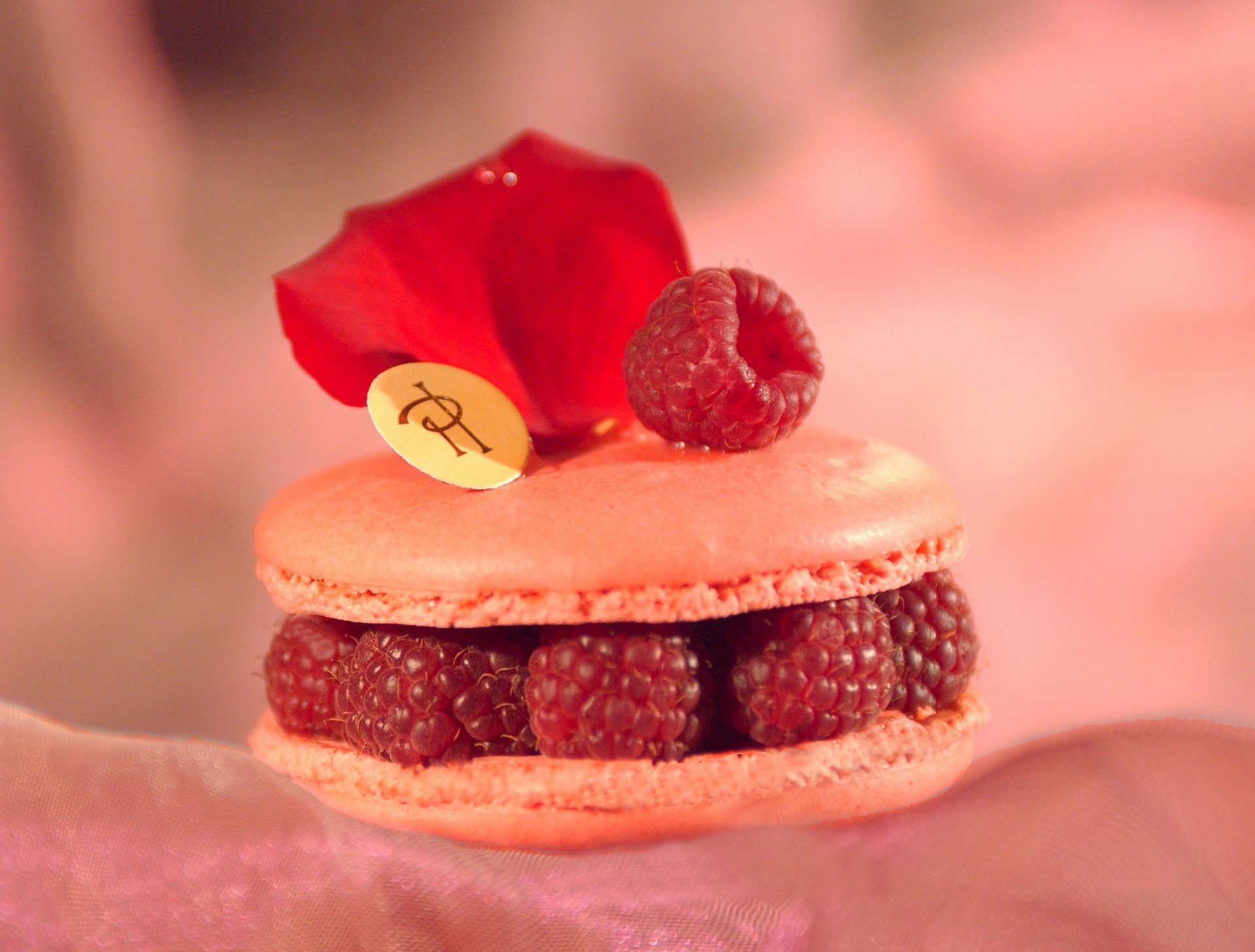 comida dulce pastel galletas frambuesa baya relleno rosa pétalo fondo fondo de pantalla