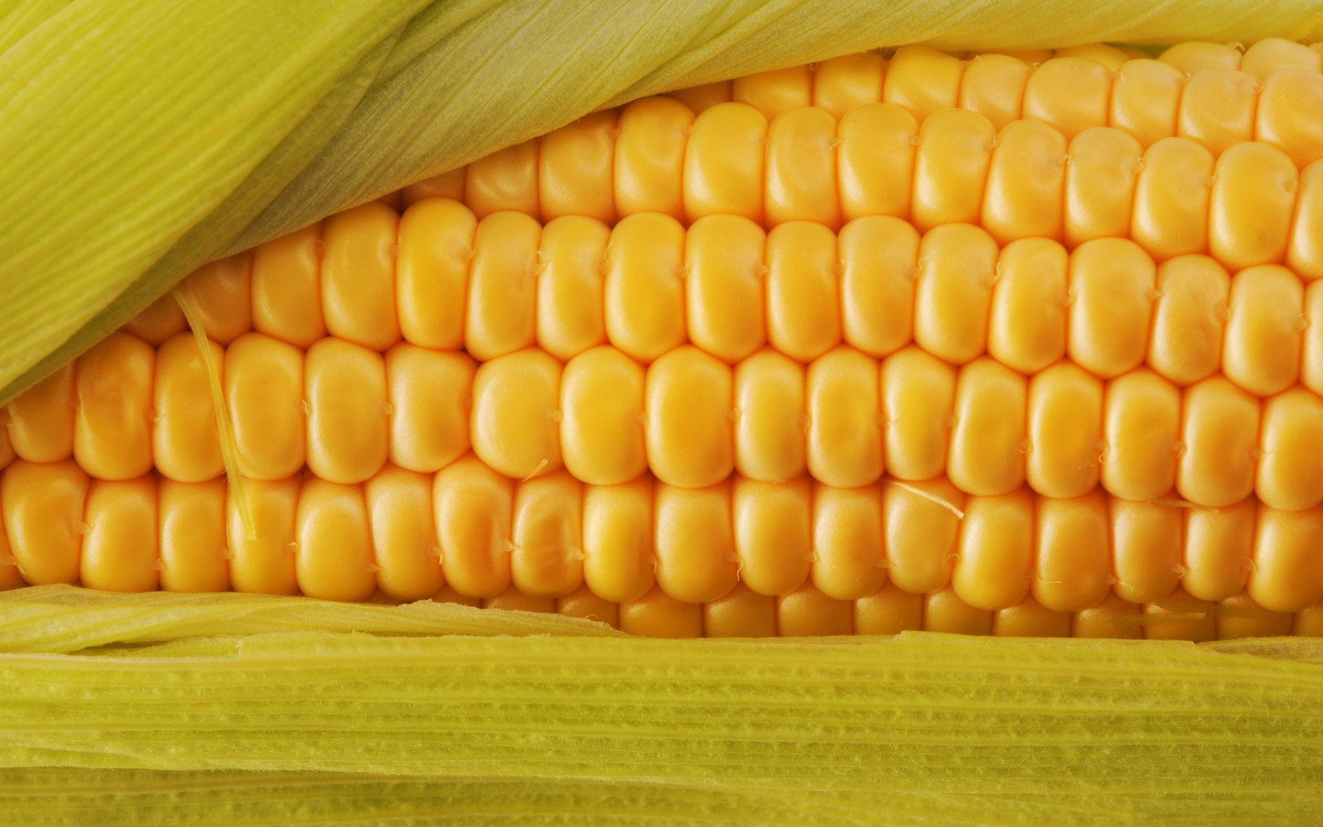 food food macro tasty healthy corn cereal yellow color