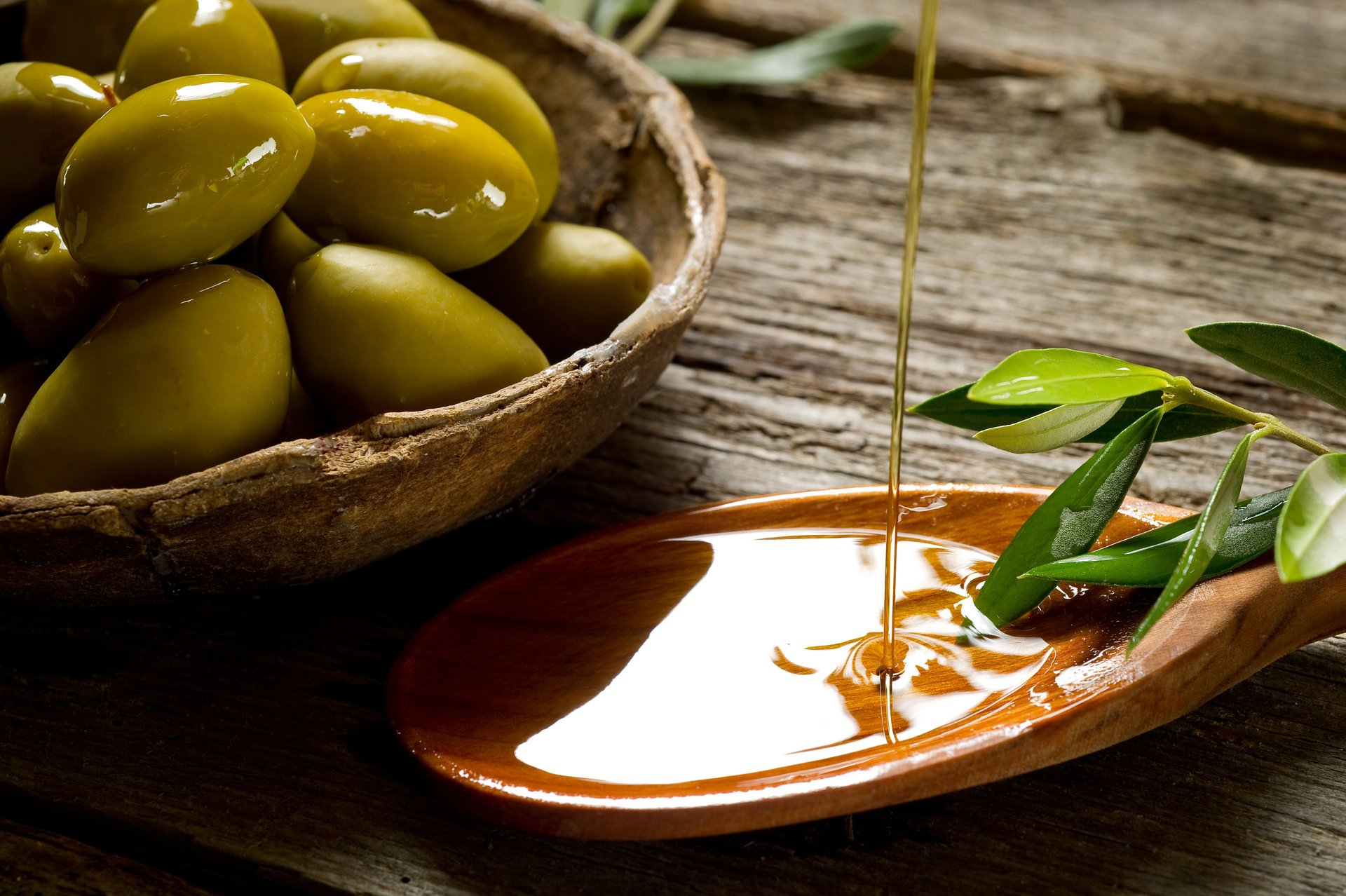 aucer olive spatula oil leaves branch table