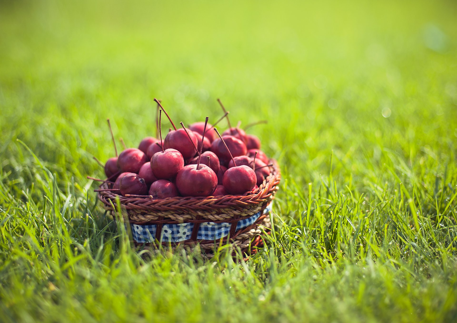 comida fruta ranetki cesta hierba