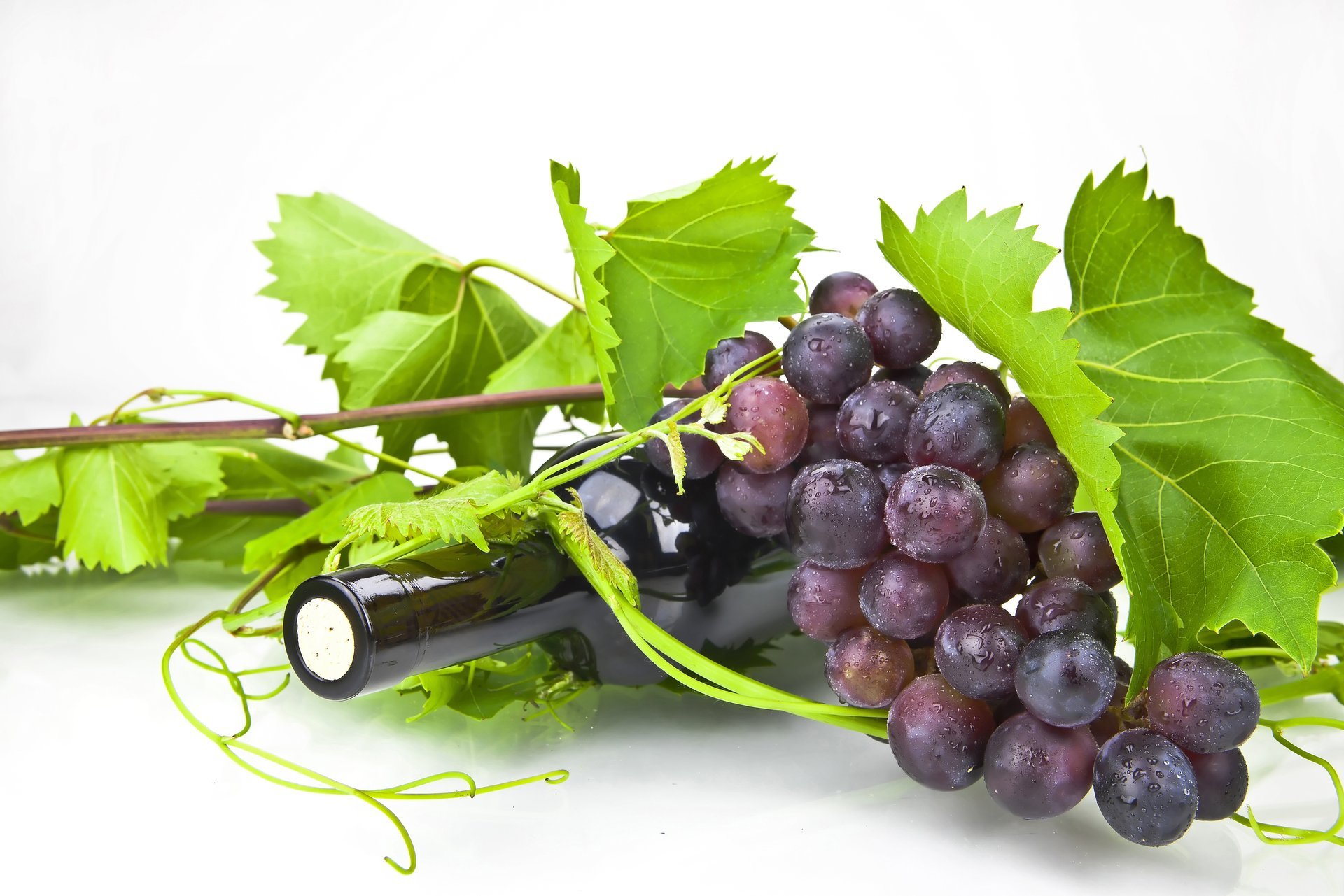 trauben flasche korken wein blätter rebe