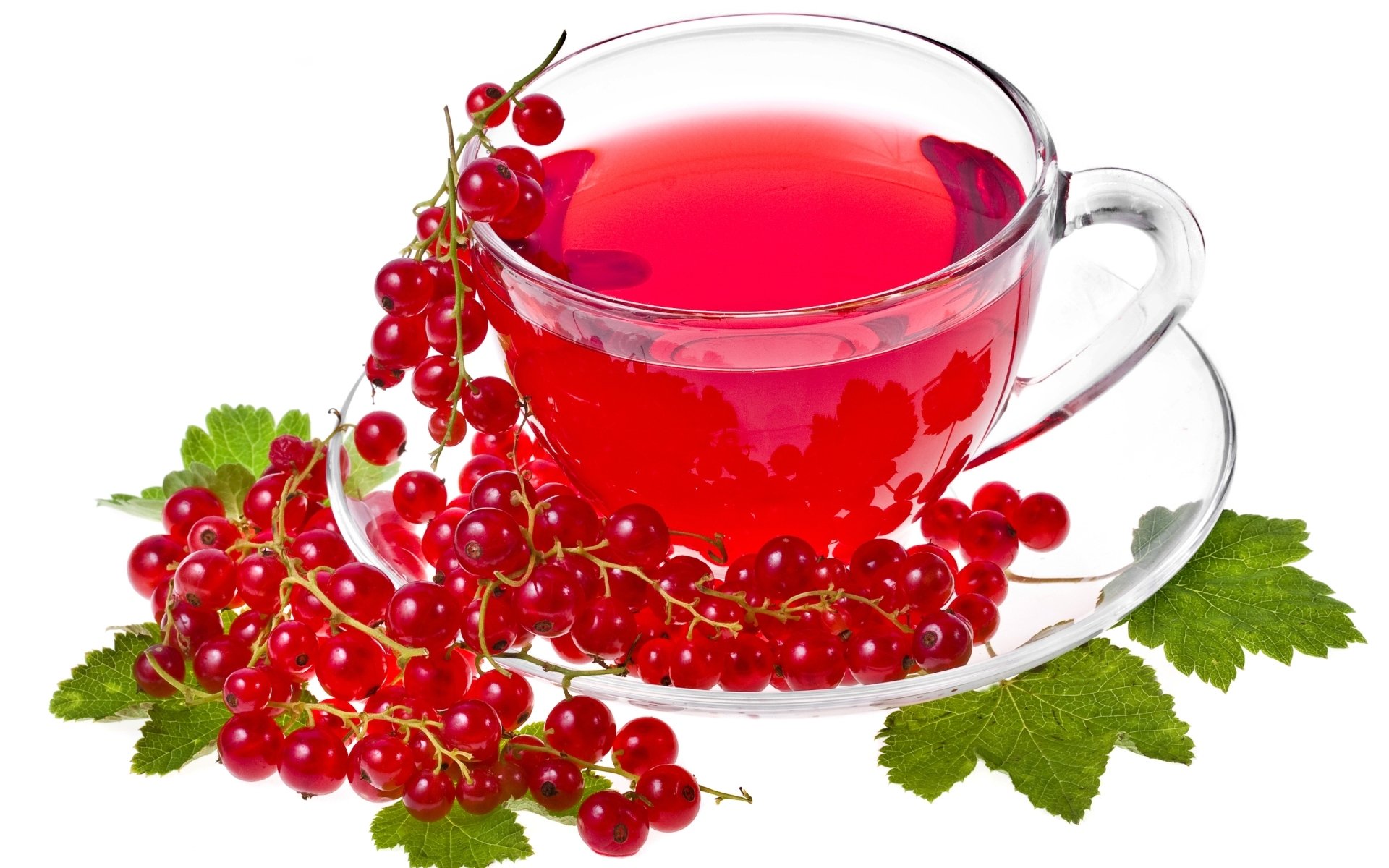 tea currant red white background