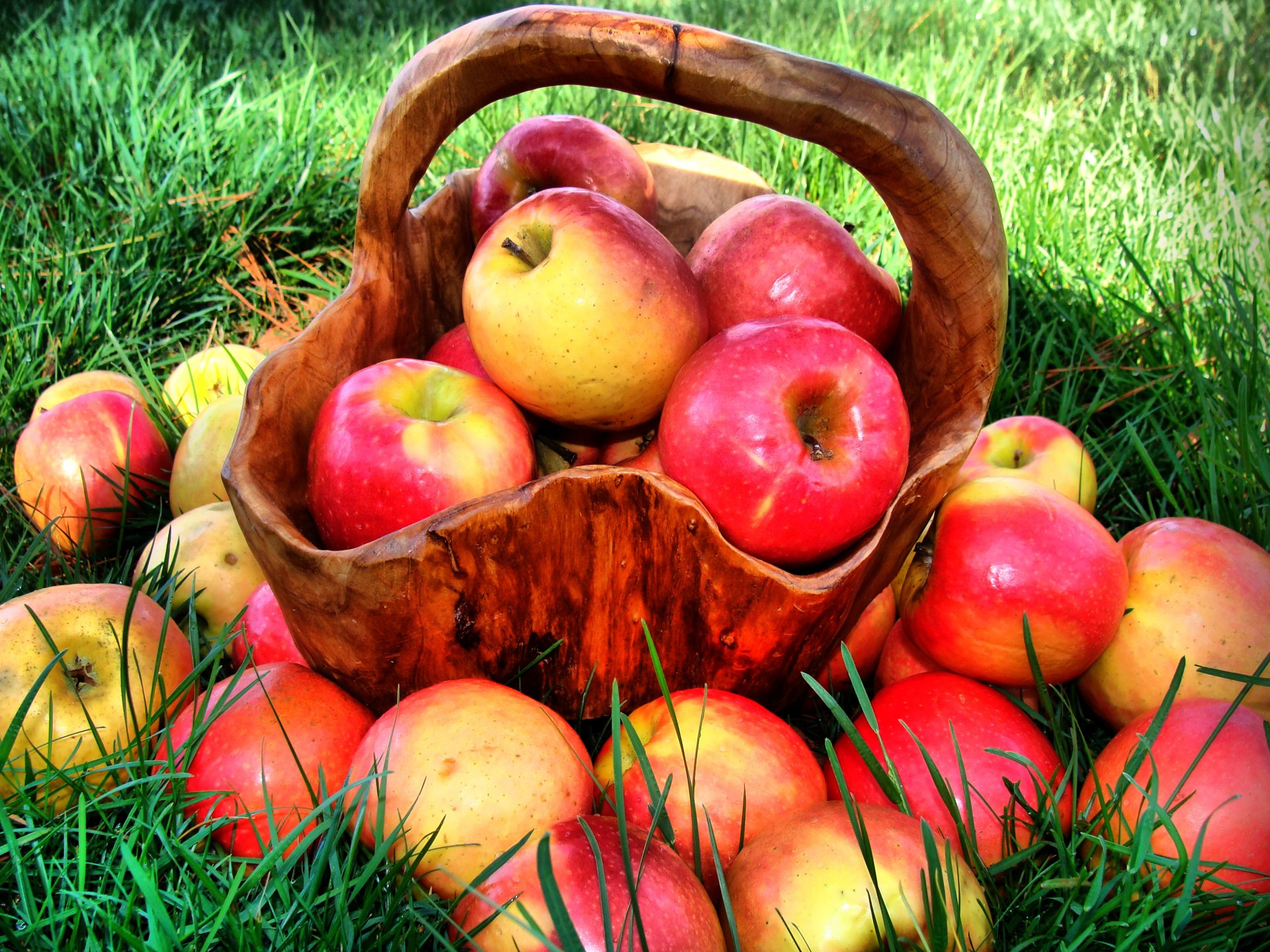 äpfel reif saftig rot obst essen vitamine korb gras natur sommer