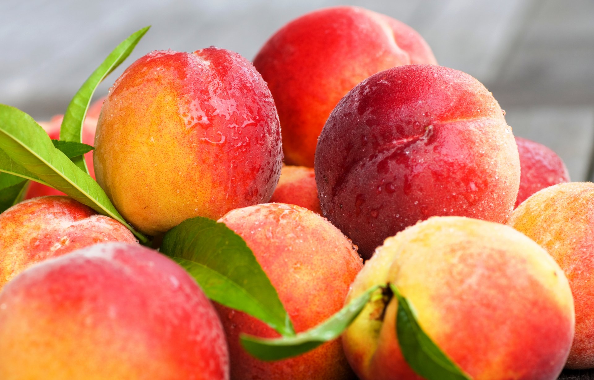 pêches nectarine fruits feuilles