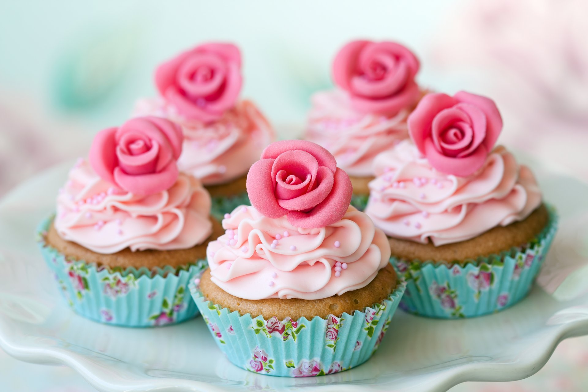 dish cupcakes cream roses dessert