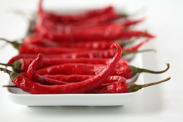 Pimiento rojo ardiente en un plato largo