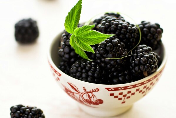 A bowl with blackberries and mint on the table