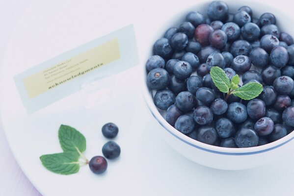 Teller mit Blaubeeren mit Minzblättern