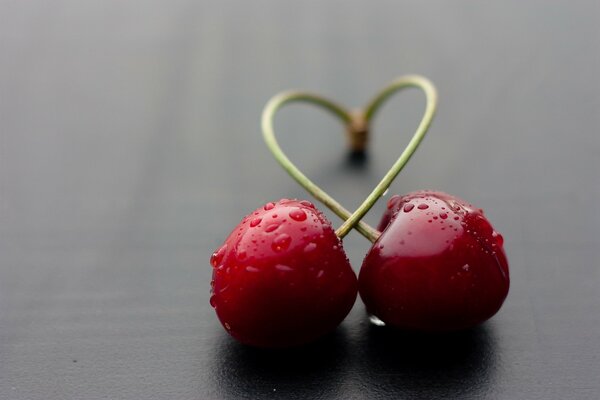 Esquejes de cerezas entrelazadas en el corazón