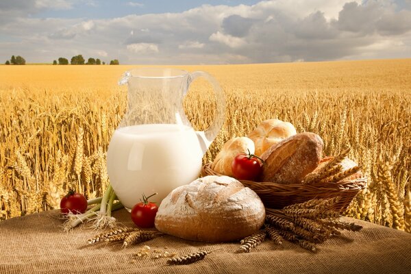 A jug with milk, a round loaf and a basket with loaves on the background of a wheat field