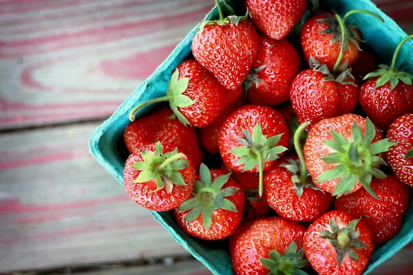 Fraises fraîches dans une boîte bleue