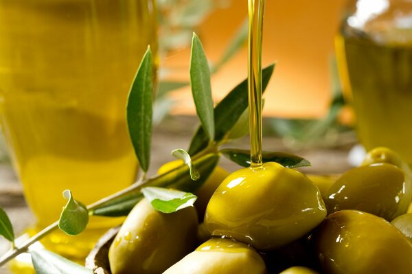 Oliven in Öl. Ein Zweig für Schönheit. Eine leckere Ergänzung für jeden Tisch