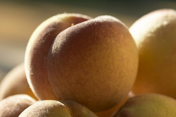 Juicy fragrant peach fruit