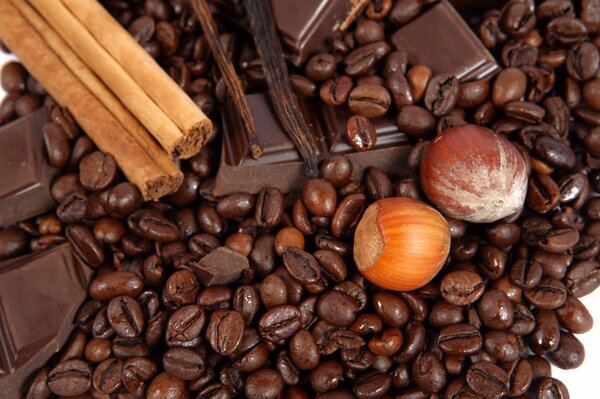 Cocoa beans, cinnamon, chocolate and hazelnuts