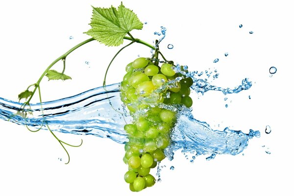 Racimo de uvas en spray de agua