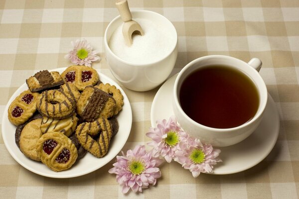 Couple de thé avec du sucre et des biscuits