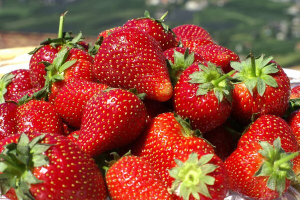 Wallpaper with delicious strawberries