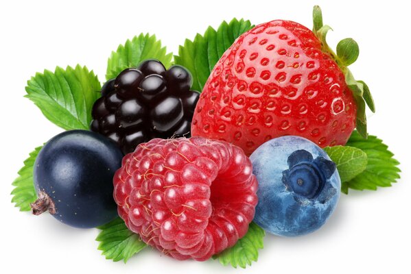 Erdbeerbeeren von Himbeeren, Heidelbeeren und Igel