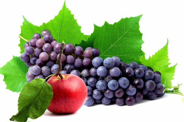 A bunch of grapes and an apple on the background of grape foliage