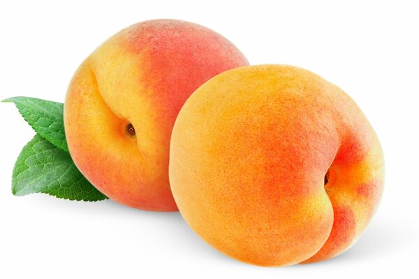 Two peaches on a white background