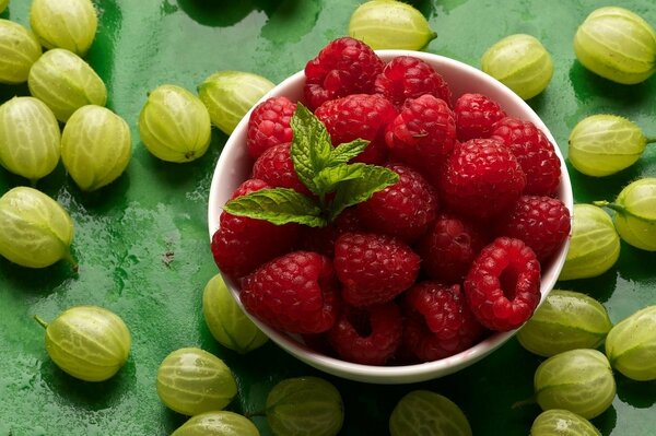 Alimentation saine de framboises et de groseilles à maquereau