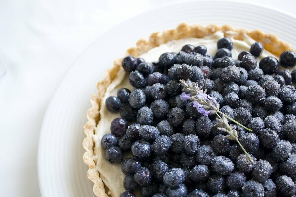 Quiche mit Quark und frischen Blaubeeren