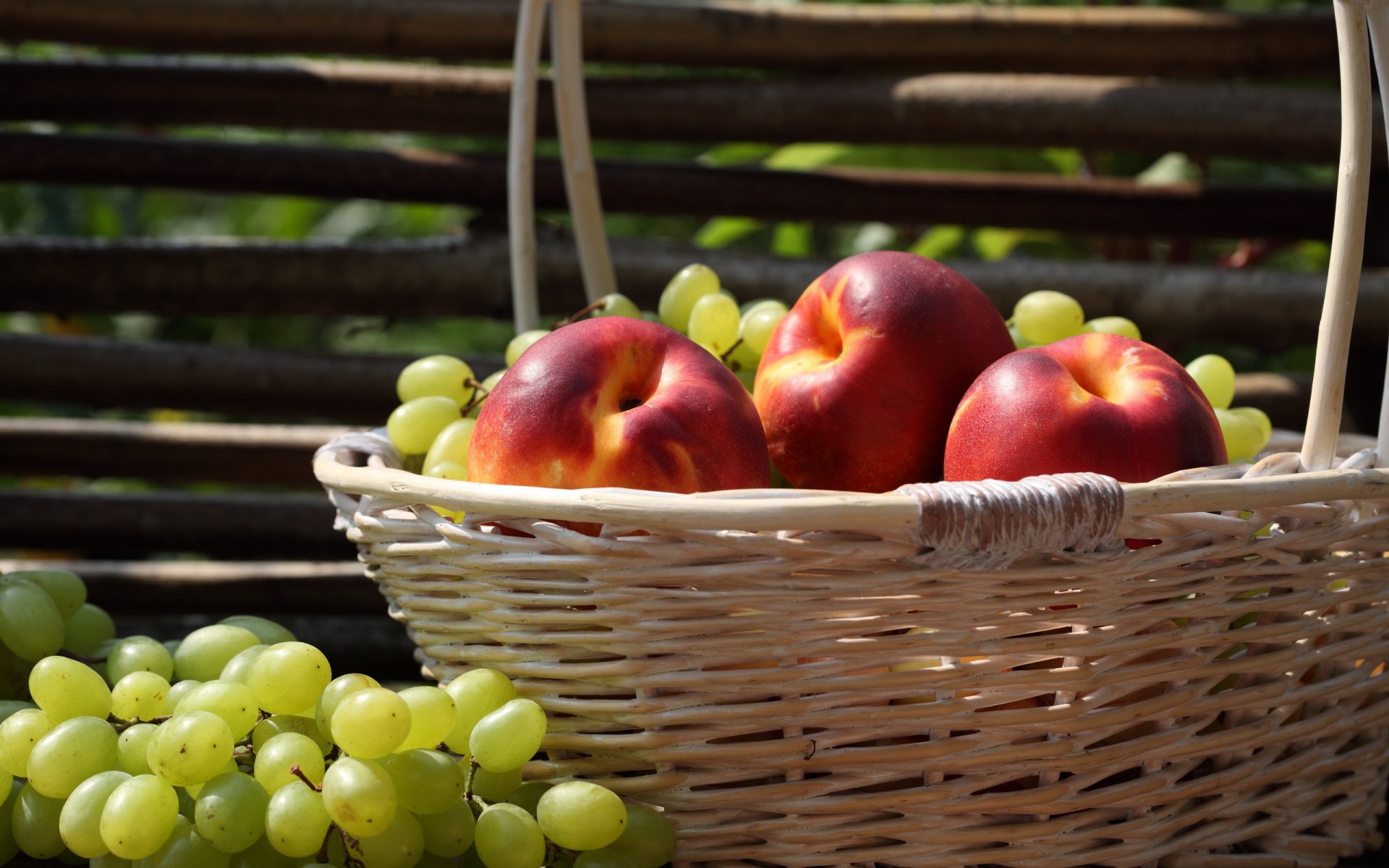 fruits shopping fence grapes nectarine
