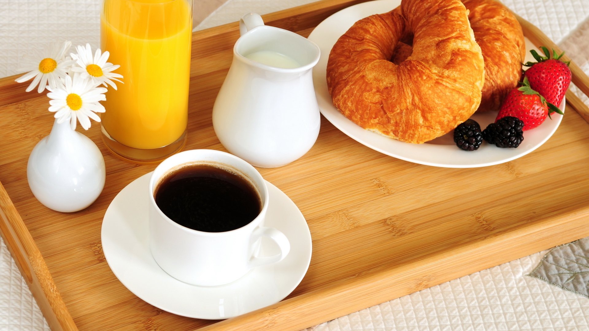 cibo colazione letto caffè succo d arancia bagel croissant bacche more fragole piatti bicchiere tazza vaso fiori margherite vassoio latte cibo letto blackberry piatti vetro