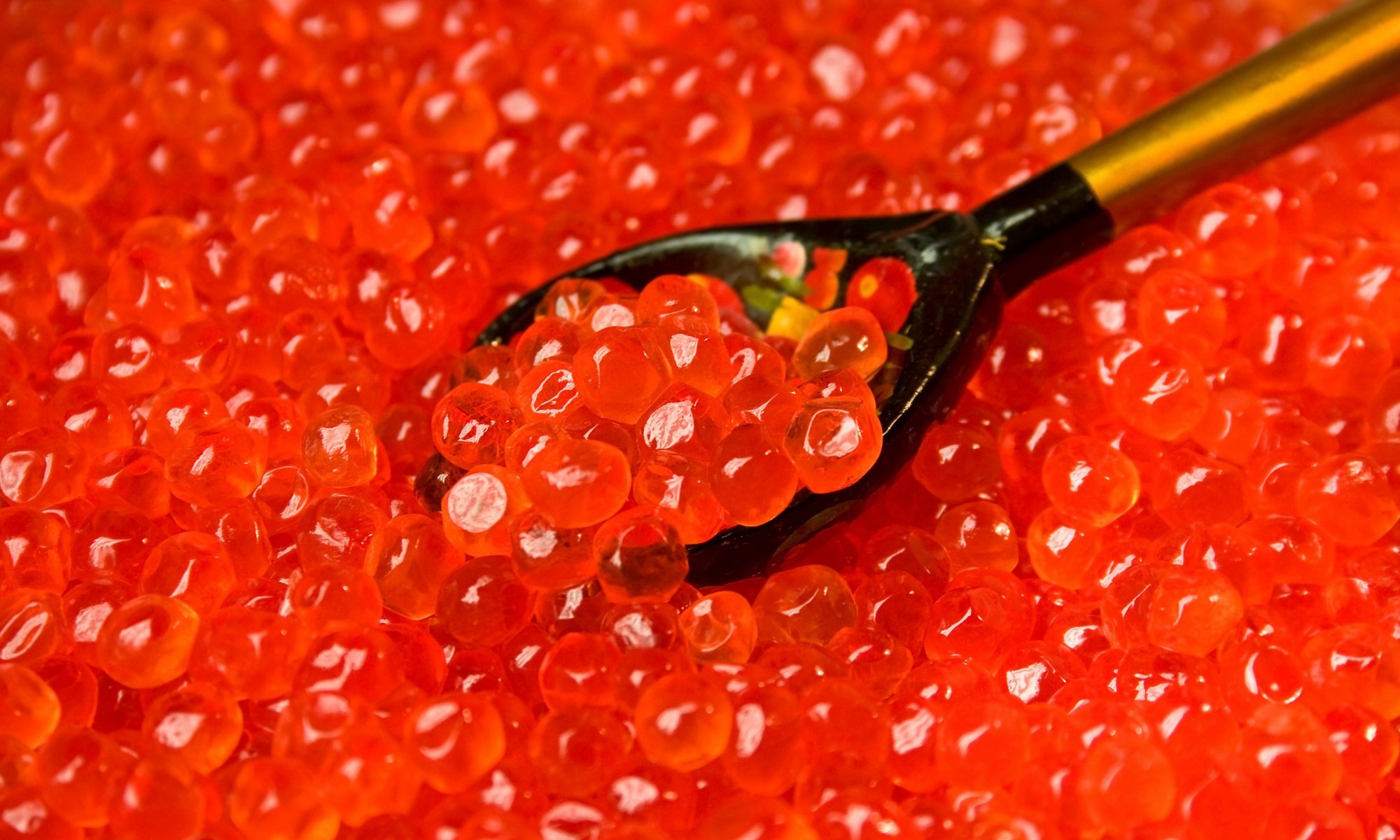 caviar rouge granulé saumon cuillère