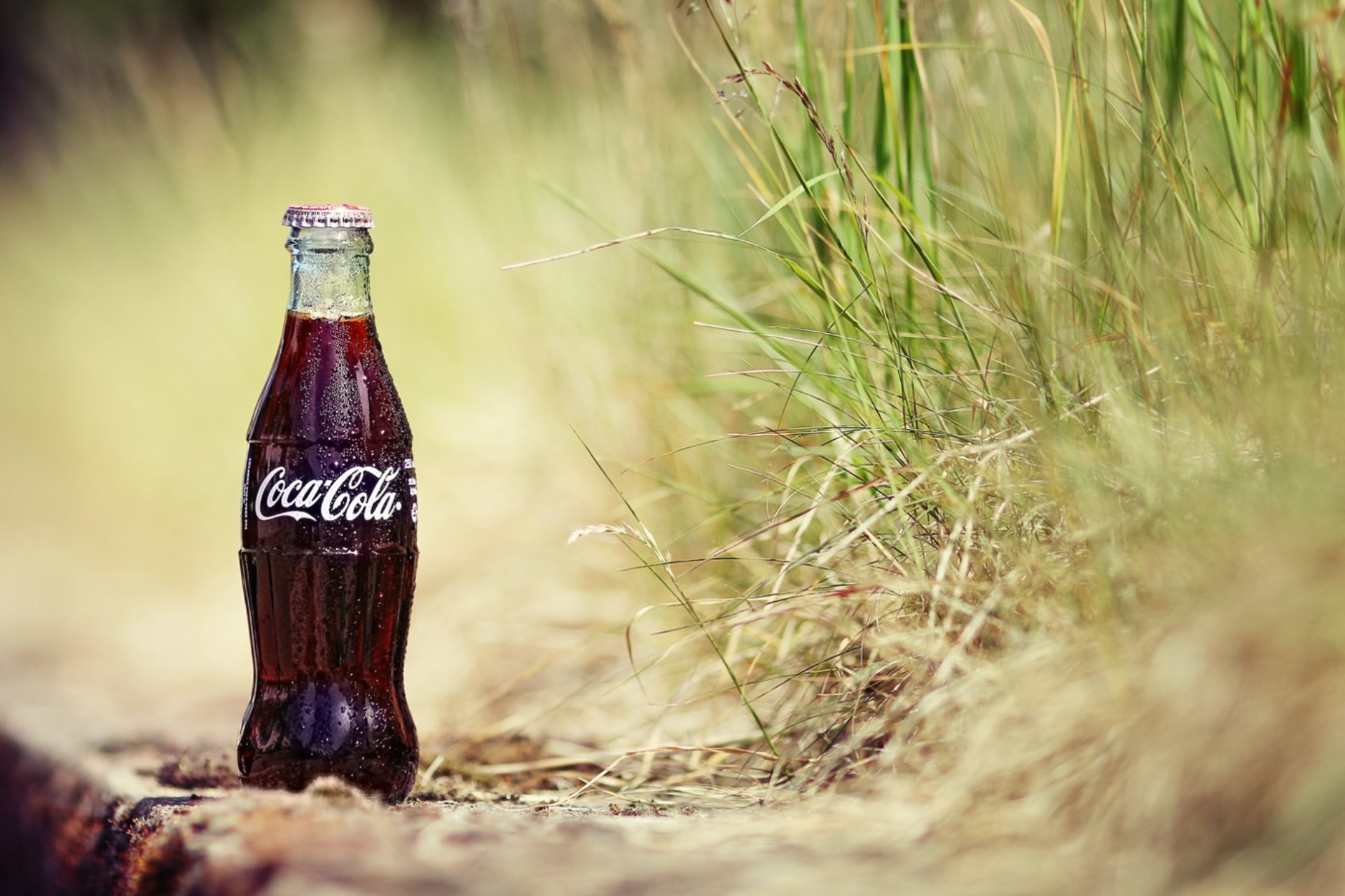 arena hierba plantas botella cola gotas coca-cola coca-cola bebida soda fondo fondo de pantalla