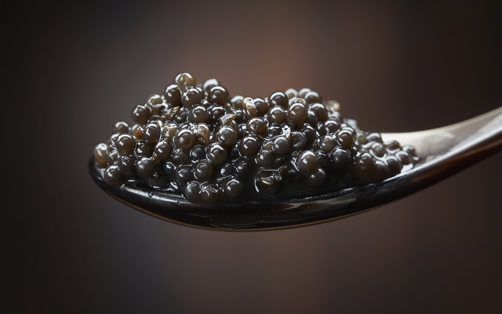 makro löffel schwarz kaviar lecker yum-yum