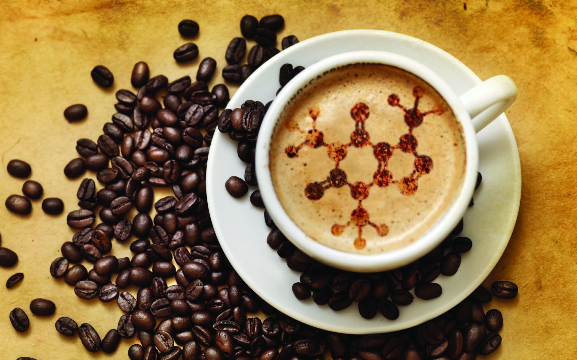 coffee cup grain