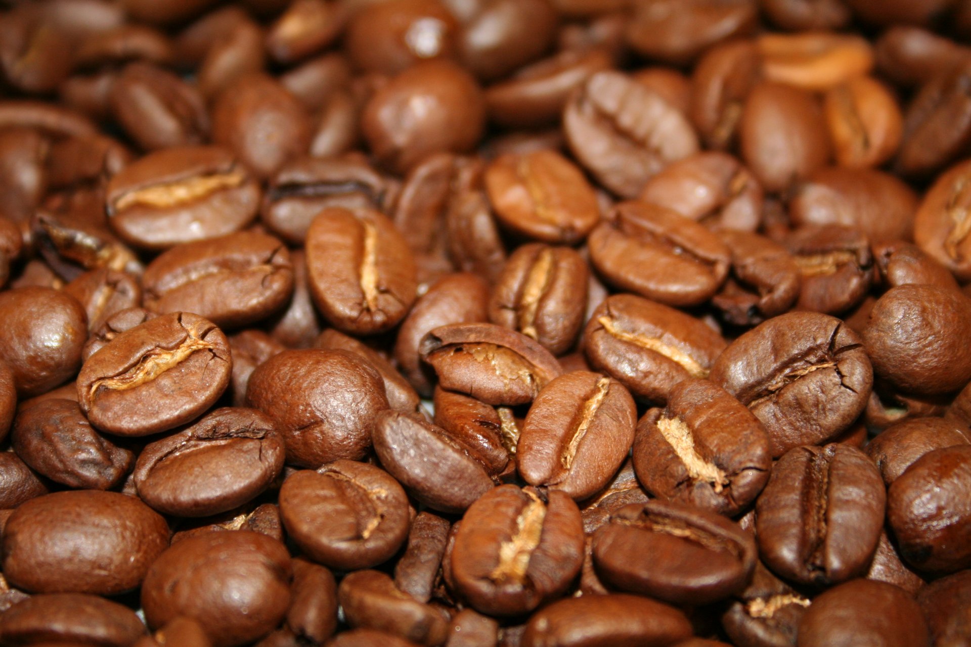 lebensmittel kaffee kaffeebohnen
