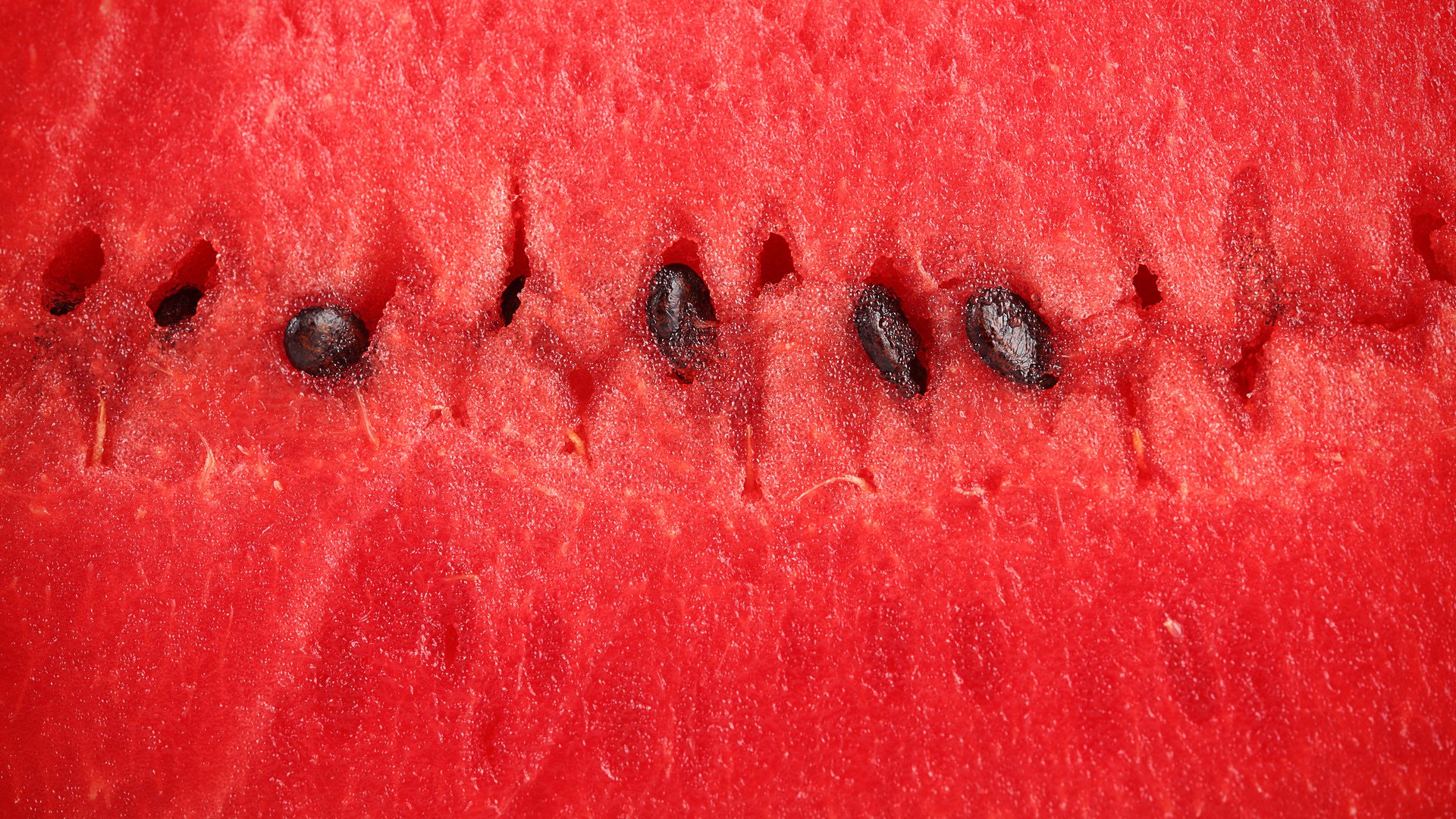 watermelon pulp close up berry