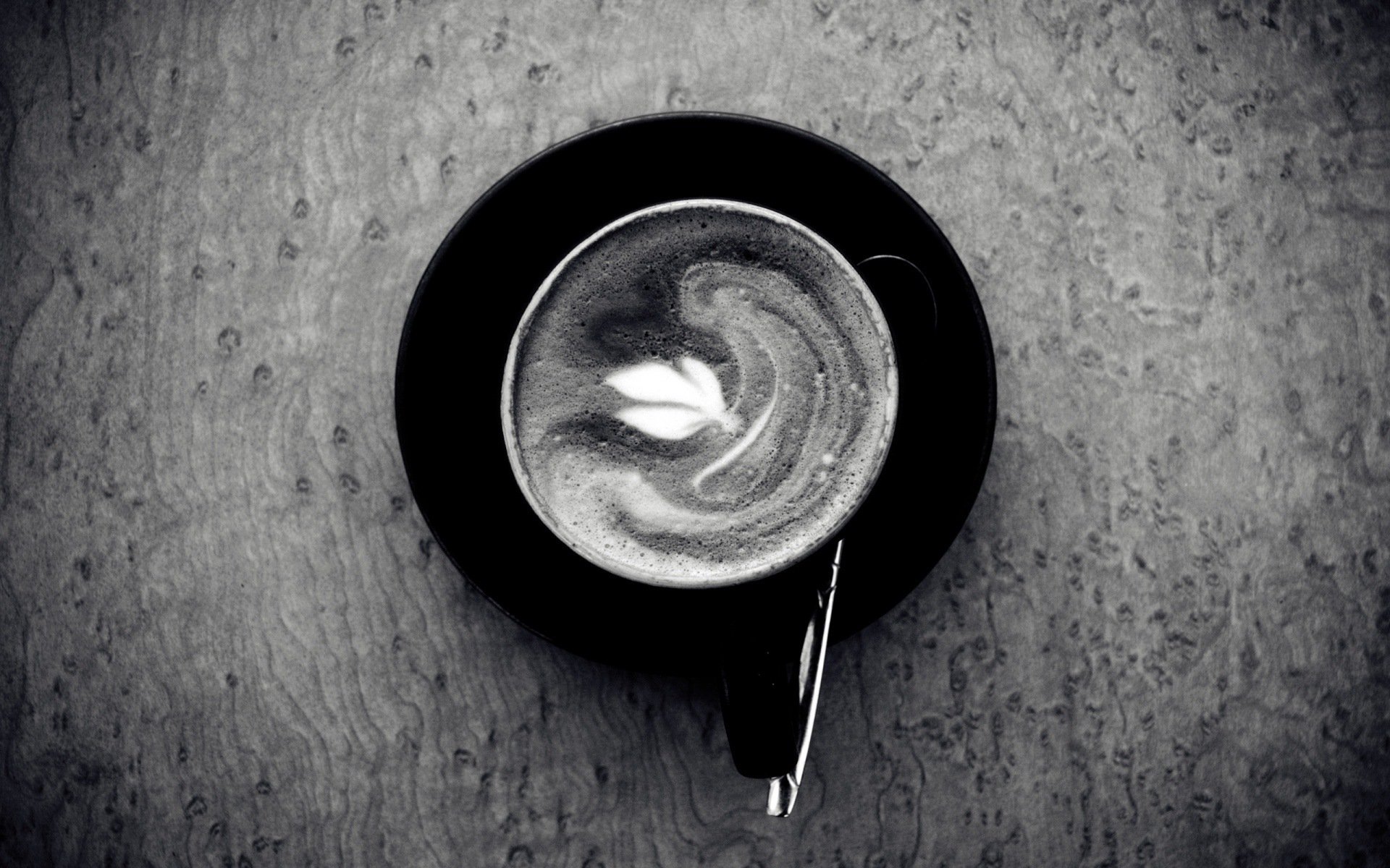 kaffee blatt löffel schwarzweiß