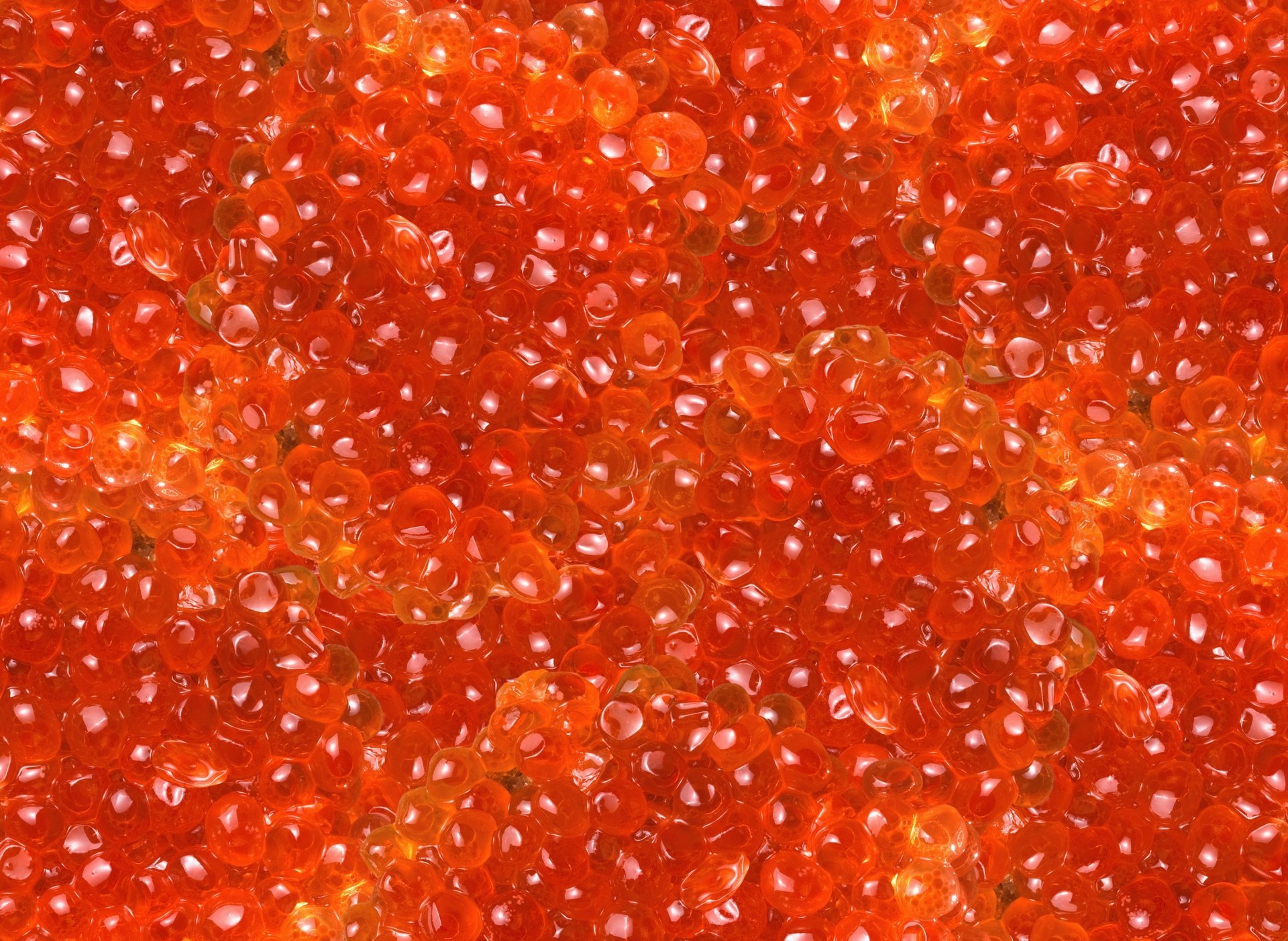 kaviar rot körner lecker