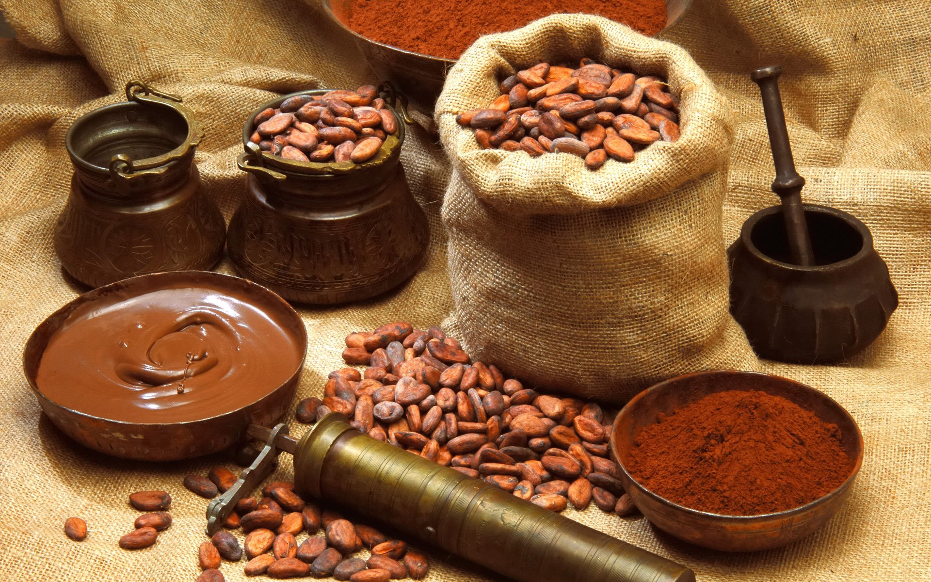 chocolate cocoa