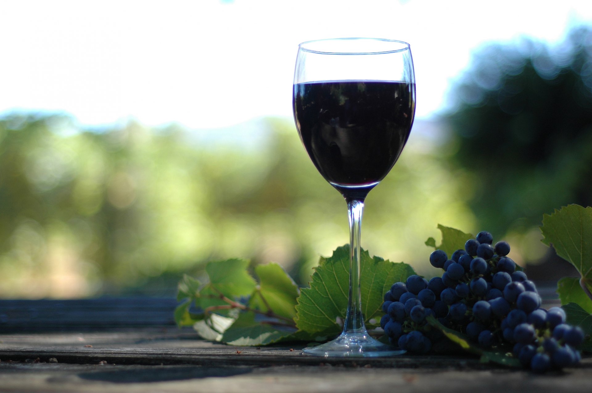 różne wino winagrad butylko drzewka