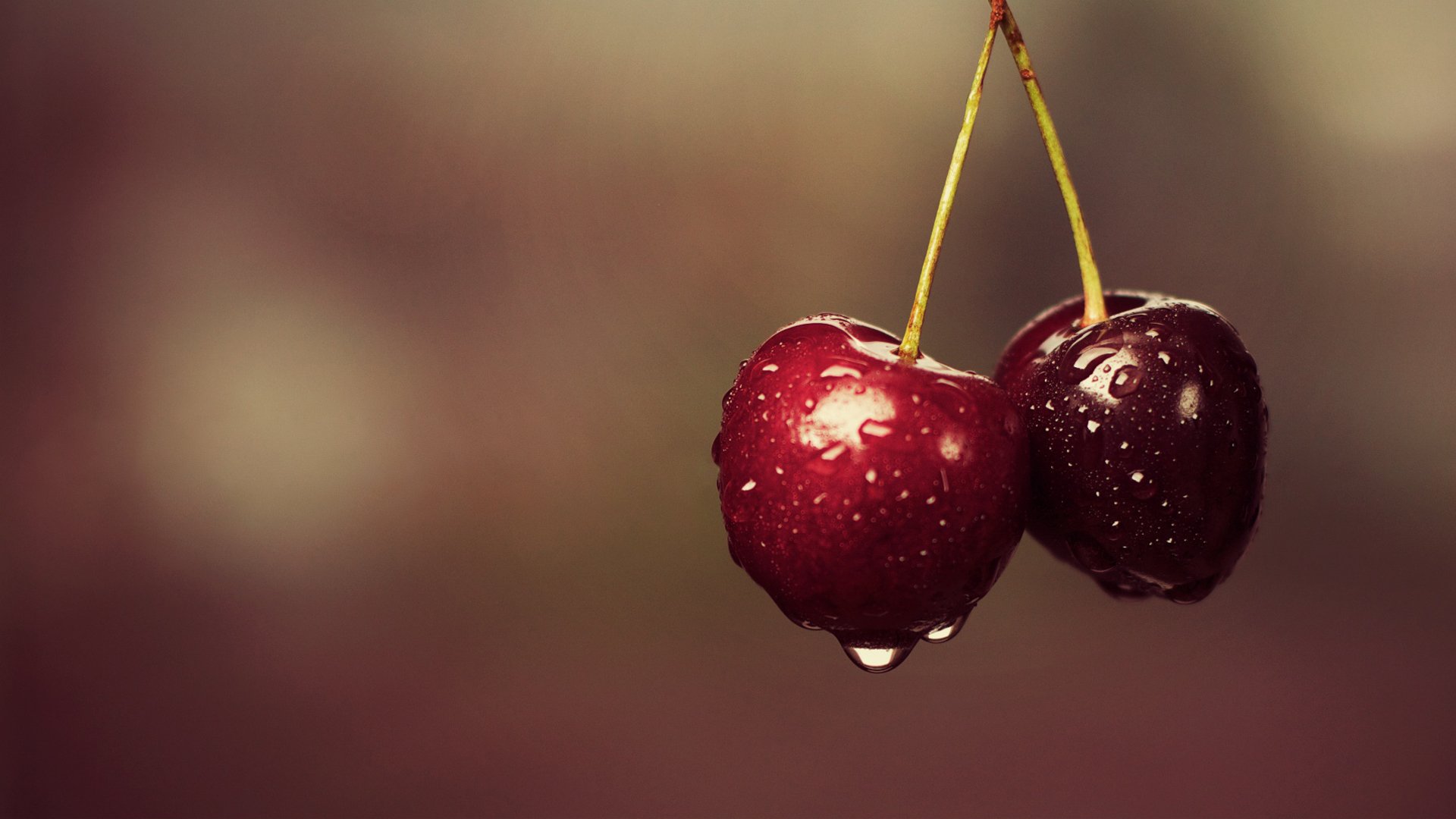 food berry cherry cherry two