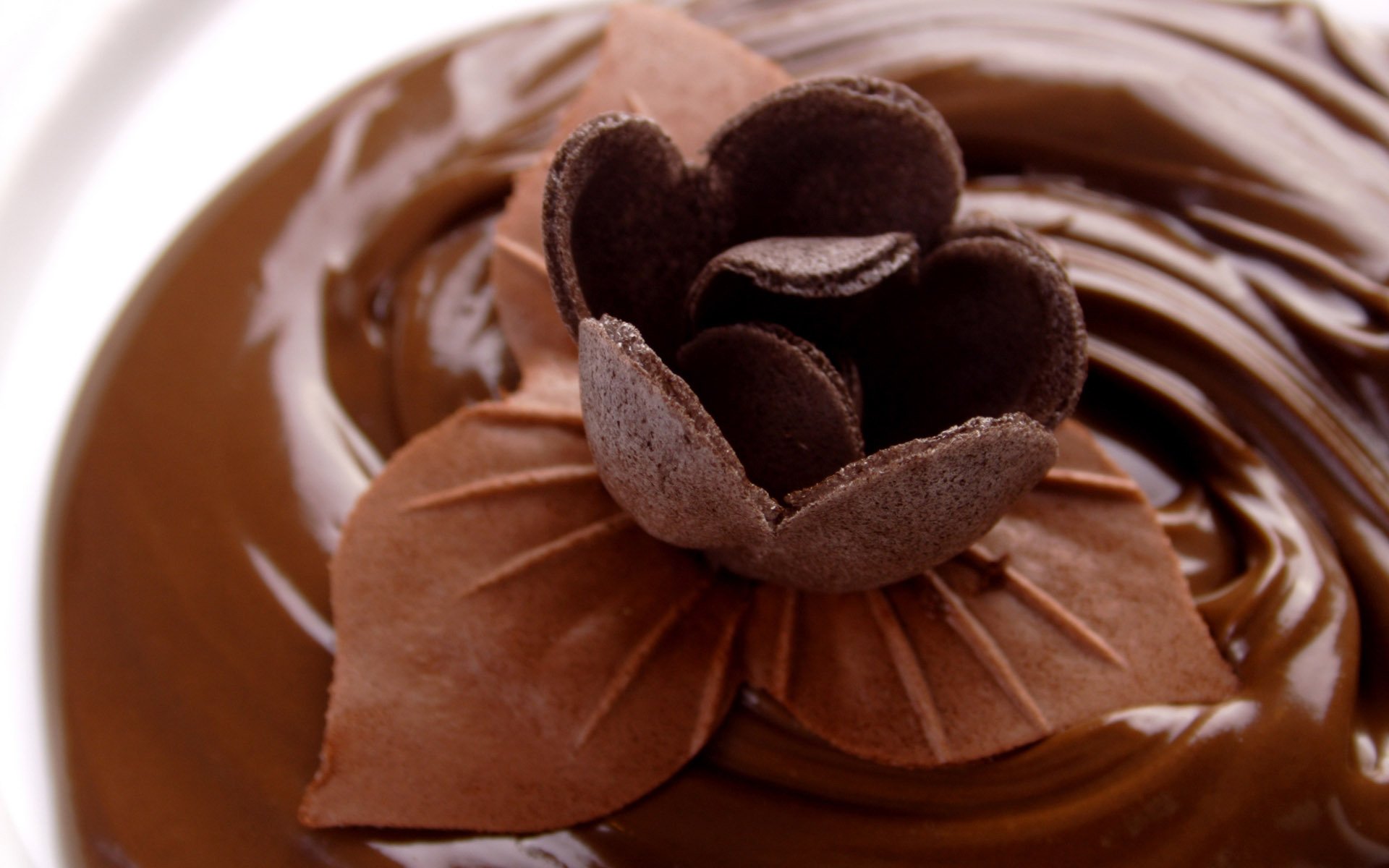 food sweet chocolate. chocolate flower brown background