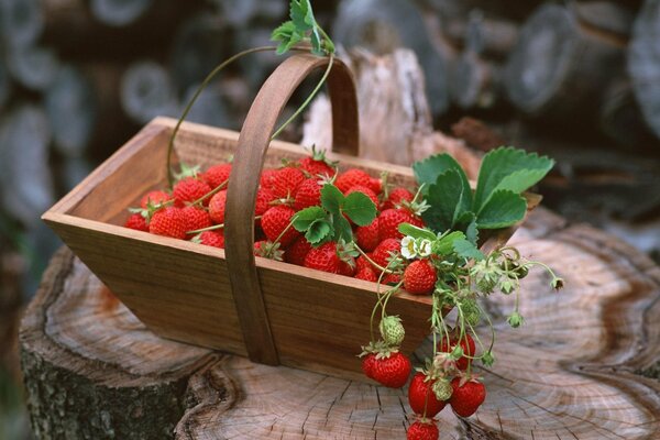 Kleiner hölzerner Korb mit roten Erdbeeren