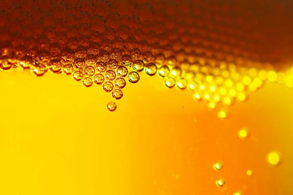 Golden beer bubbles like honeycombs